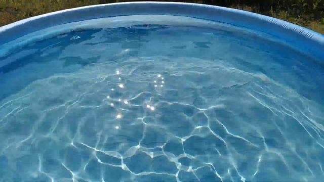 Бассейн для дачи. Купили бассейн на дачу. Надувной бассейн для детей и взрослых. #Shorts смотреть онлайн