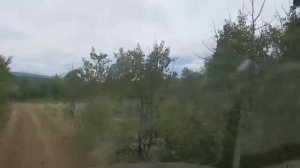 Fast Forest Road Ride in a Ford Excursion 6.0 Powerstroke Diesel. OFFROADING COLORADO