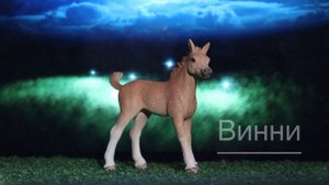 Моя коллекция лошадей schleich , collecta , PAPO