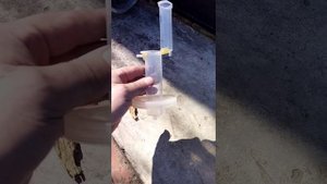 попугай своими руками за 100 рублей