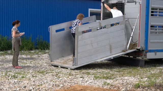 Видео отзыв клиента из Калуги по породе Лакон , для Торгового Дома Эльстадо смотреть онлайн