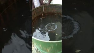 вкусный суп