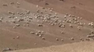 мир библии 1.