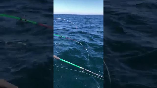 запись на рыбалку по телефону 89245246006 магазин Уссурийск, ул арсеньева 1,2этаж смотреть онлайн