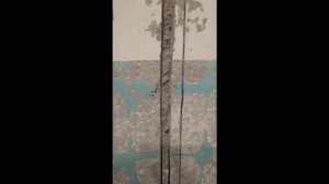 HAMMER STR150 ШТРОБОРЕЗ DEXTER пылесос power 1400w Хаммер СТР150 Hammer STR125 обзор