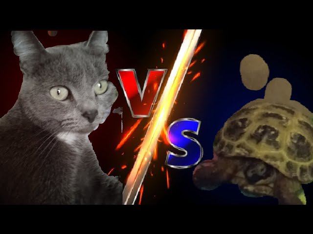 Муся vs Люся смотреть онлайн