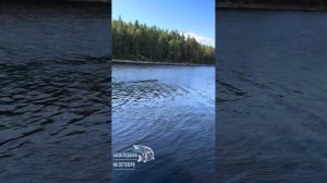 Карелия! Сегозеро! Хаусбот! Дом на воде! Турбаза «На Сегозеро»Построили Хаусбот сами.