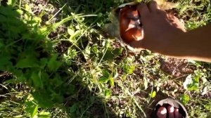 18+Шокирующие  находки  на кладбище  подклади гроби  порча