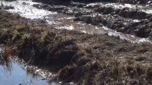 Саблино 18 04 2015 г