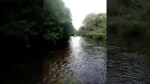 Загон рыбы