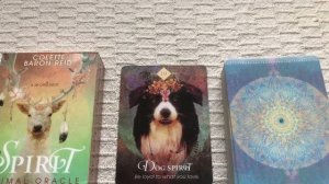 The Spirit Animal Oracle 19/68 Dog guide book audio description