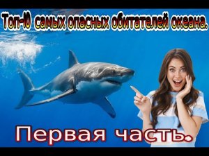 Интересные истории и факты про животных.