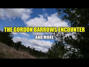 “The Gordon Barrows Encounter and More” | Paranormal Stories