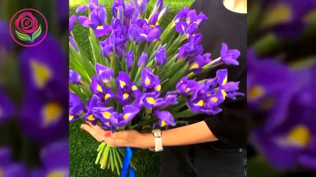 Яркие ирисы от салона "ДариЦветы" смотреть онлайн
