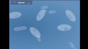 Архейская эра