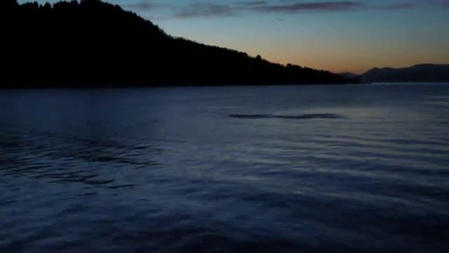 к нам в гости приплыл кит) смотреть онлайн