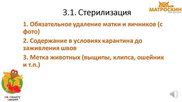 Приют для животных: Как на самом деле должен работать идеальный муниципальный приют?