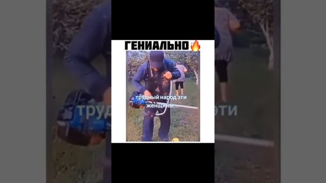 Без названия