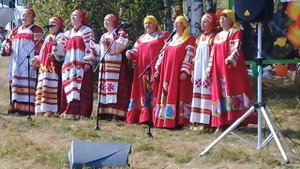 песня  Ивушки зеленые