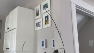 Безопасные игрушки для попугаев (часть 1). Веточки для пирруры.