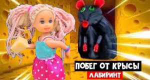 УБЕГАЮ ОТ СУМАСШЕДШЕЙ КРЫСЫ В РОБЛОКС! Cheese Escape Катя и Макс веселая семейка Даринелка
Дарине