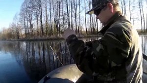 Ловля щуки на живца