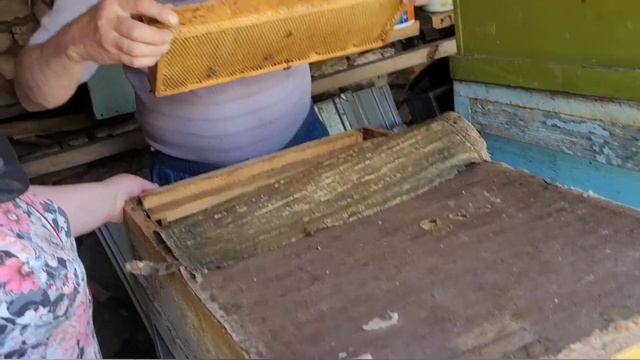 Пчеловодство. ДЕНЬ 1.Жизнь в селе/ Жизнь за городом 09.06.2022 год. смотреть онлайн