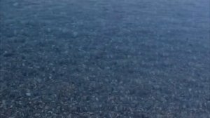 РЫБАЛКА НА ЧЕРНОМ МОРЕ