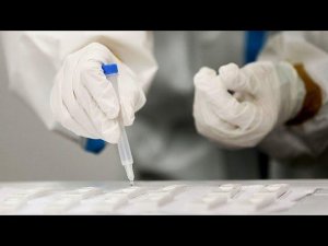 В России выявили 15 019 новых случаев коронавируса