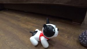 Собака робот