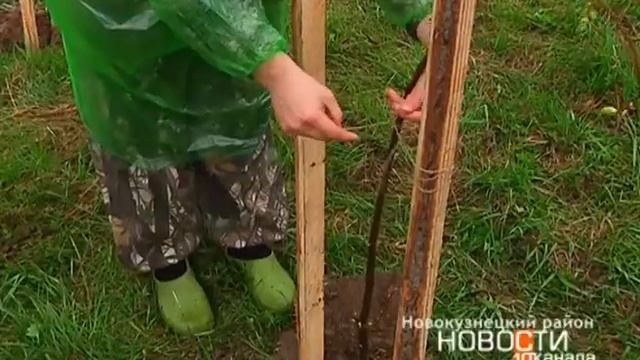 Посадка липы в пос.Подкорчияк / 23.05.2018 / Новости 10 канала смотреть онлайн