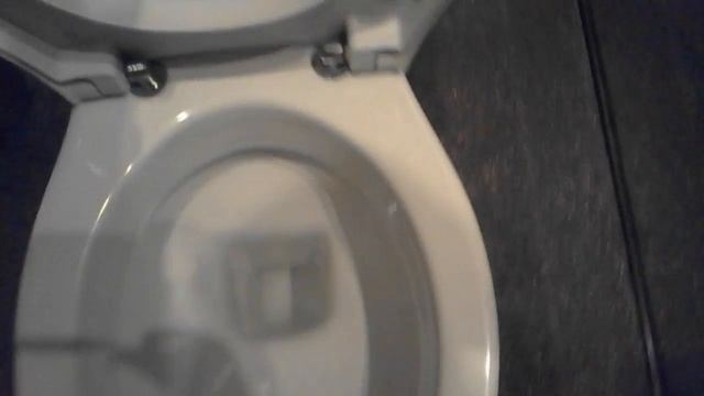 Обзор сан-узла в ресторане "Барбарис" на ул. Сумской 51 смотреть онлайн