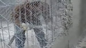 Укладка бетона в каркас