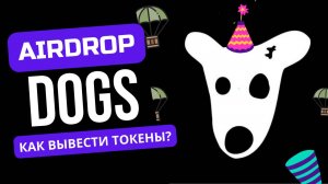 DOGS | Готовимся к эйрдропу | На каких биржах листинг | Как вывести токены