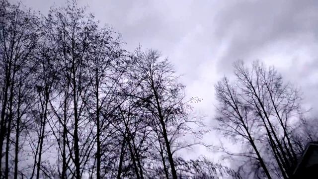 1991 Galant VR4 for sale walk around *SOLD* смотреть онлайн