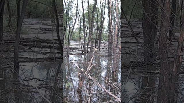 ... вода прёт и теперь здесь как в сказке🤩