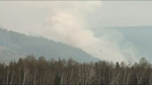 Лесная отрасль (видео на бурятском языке).mp4