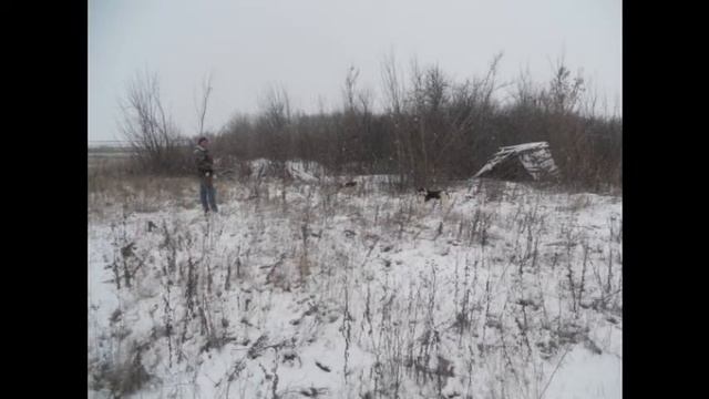 Про охоту))) смотреть онлайн