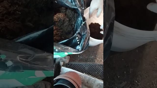 торфогрунт ...процесс изготовления часть1