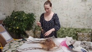 Саженцы Винограда. Отзывы. питомник Авиной