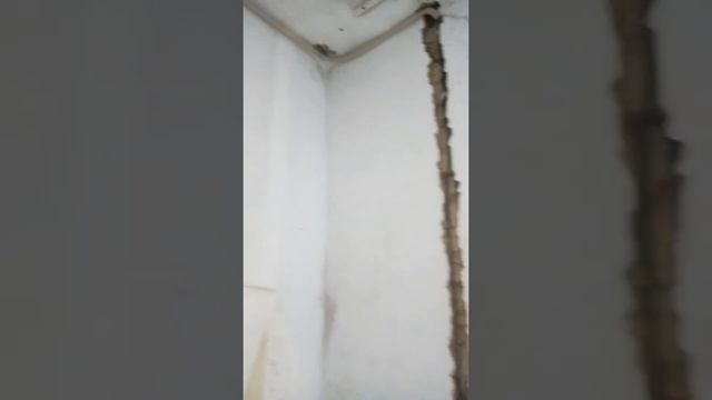 Как накосячить в электромонтаже. Страшные пробоины, а не штробы. смотреть онлайн