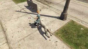 GTA 5 Пасхалка КАК СТАТЬ ЗВЕРЕМ (РЫСЬ) ЛОФОФОРА №1