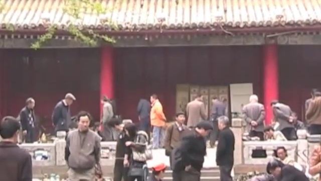 Incredible Journey - Nantong смотреть онлайн