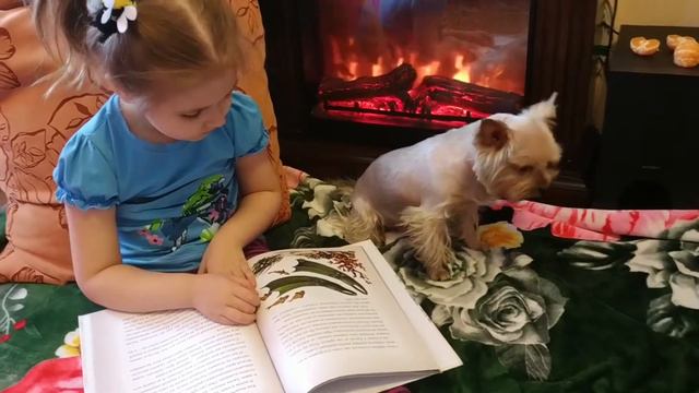 Чип. Неделя дома смотреть онлайн