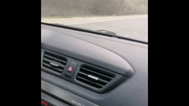 Что не любит французский бульдог Лакки… смотреть онлайн