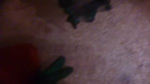 Турбины ihi vf первичная и вторичная