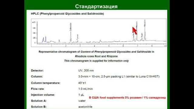 Родиола – классический адаптоген