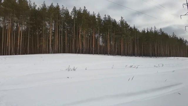 ЧЕБОКСАРЫ В СЕРДЦЕ * ЛЕВЫЙ БЕРЕГ ВОЛГИ * ТЕРРЕНКУР ДО ДЕРЕВА ЛЮБВИ * ПРОГУЛКА ПО СОСНОВОМУ ЛЕСУ смотреть онлайн