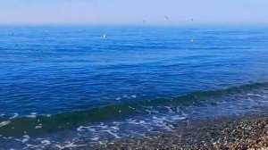 Чёрное море 2 января 2021 года.Адлер.Сочи.