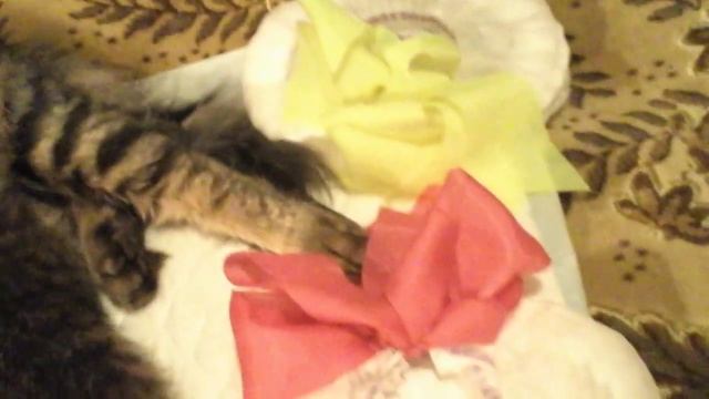 ВАСИЛИСА ПРЕКРАСНАЯ И БЕЛЬЧОНОК - БАРБИ N7(1) смотреть онлайн